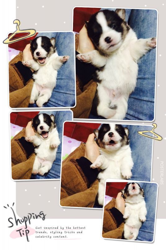 2014-12-07 204859.jpg