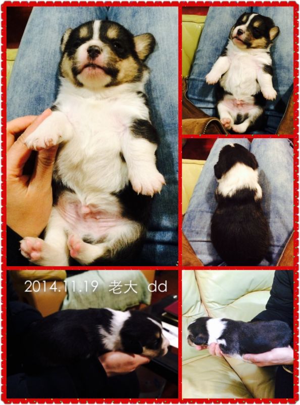 2014-12-06 175548.jpg