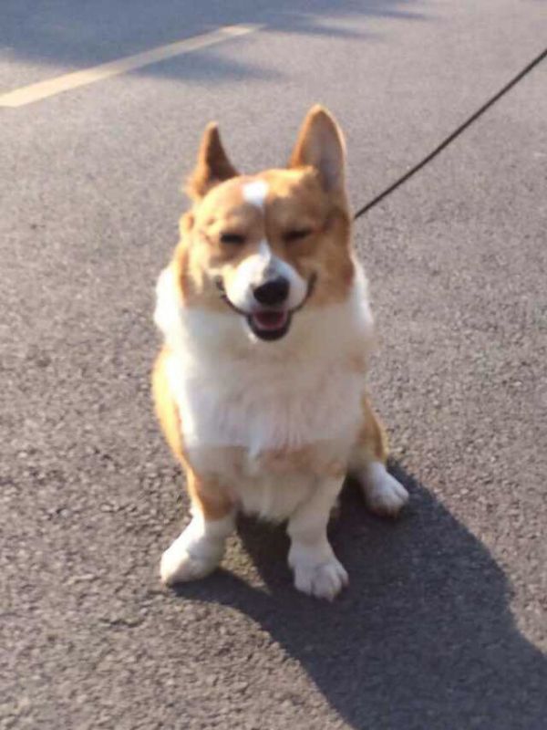 当爹好开心