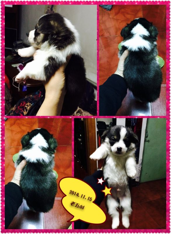 2014.11.15 老五-1.jpg