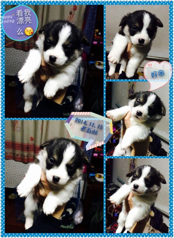 2014.11.15 老五-2.jpg