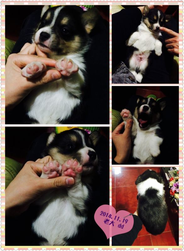 2014.11.19 老大-1.jpg