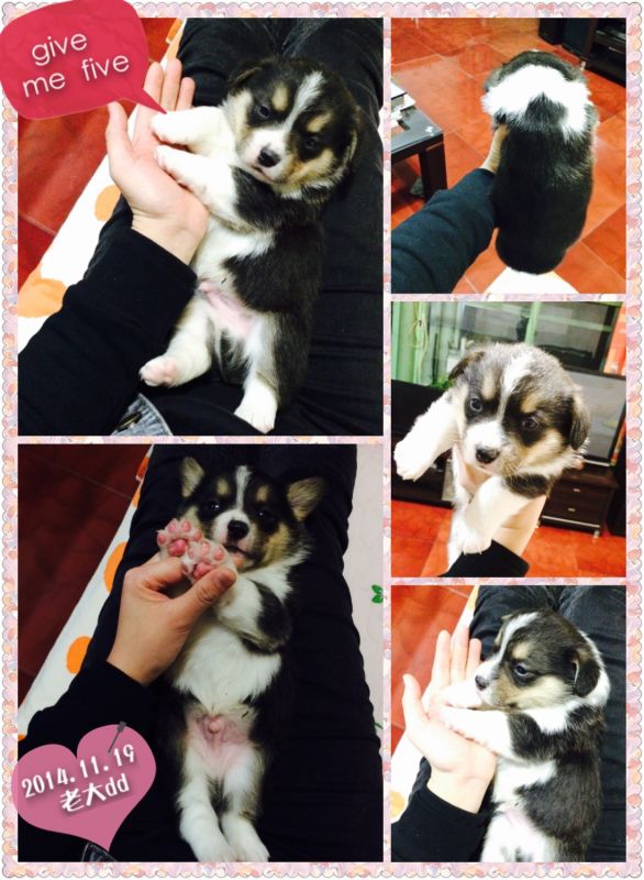 2014.11.19 老大-2.jpg