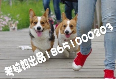 QQ图片20141026142956_conew1.jpg