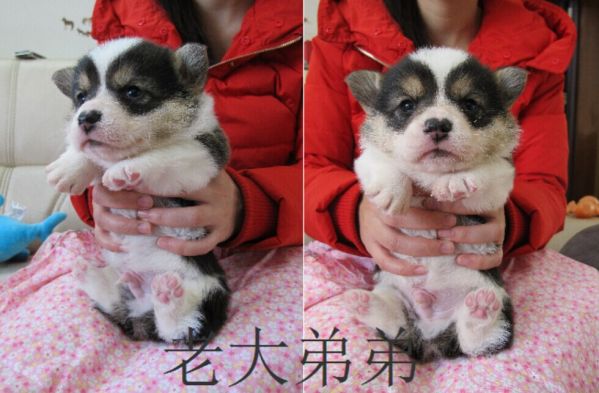 QQ图片20141222115115.jpg