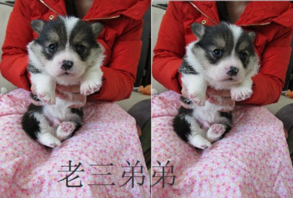 QQ图片20141222115026.jpg