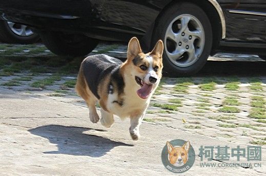 235649j8omssofmqrz1erf.jpg
