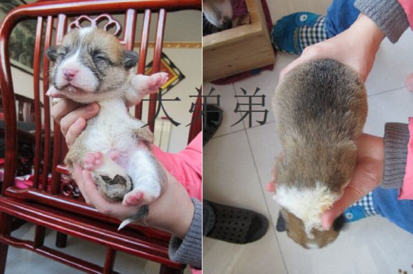 QQ图片20141222115249.jpg