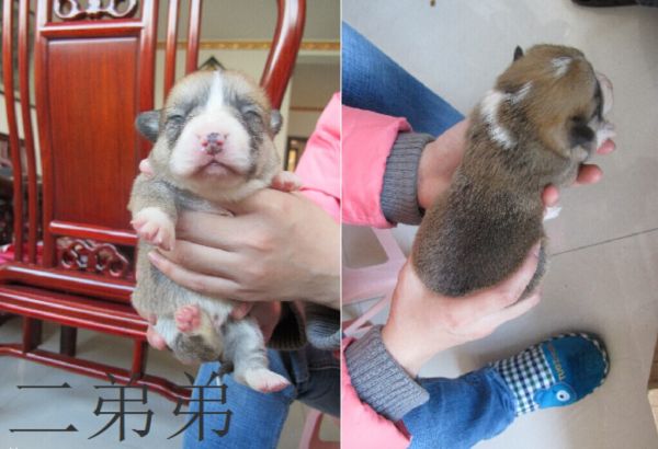 QQ图片20141222115314.jpg