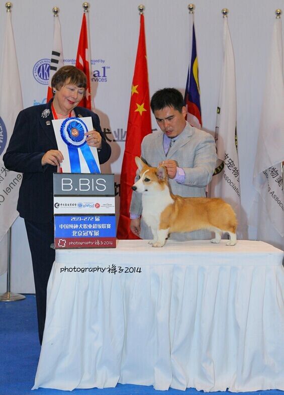QQ图片20141127121203.jpg