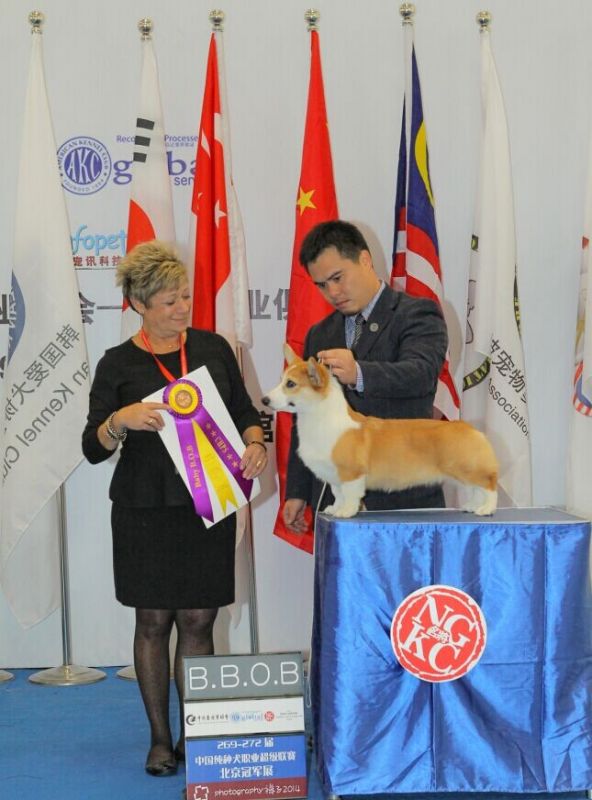 QQ图片20141127121218.jpg