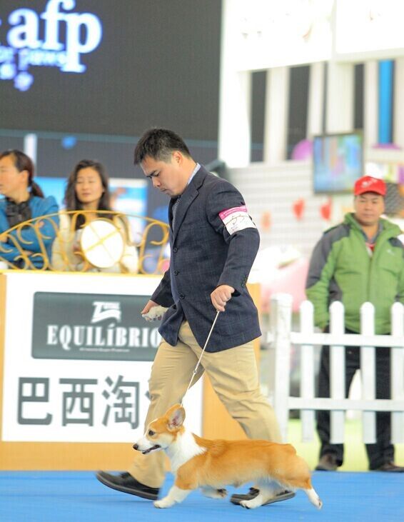 QQ图片20141127121208.jpg