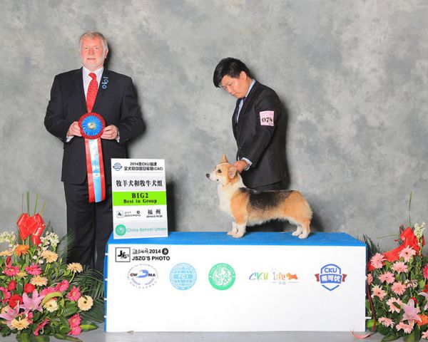 赛雅福州BIG2.jpg
