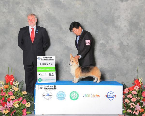 赛雅中国登录冠军.jpg