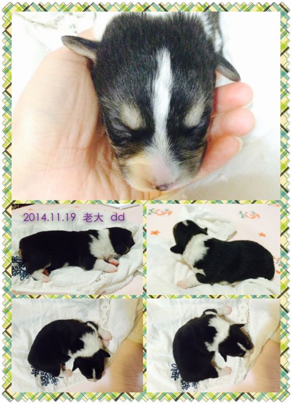 2014.11.19 老大.jpg