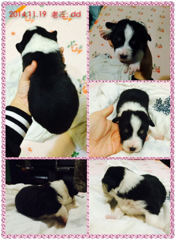 2014.11.19 老三.jpg