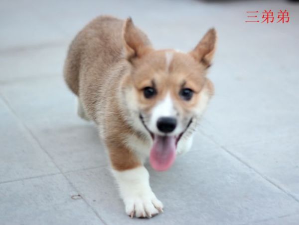IMG_0048_副本.jpg