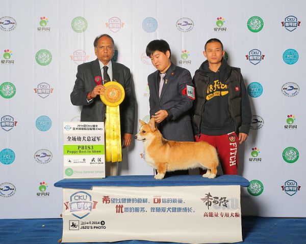 JS061873-1700a.jpg