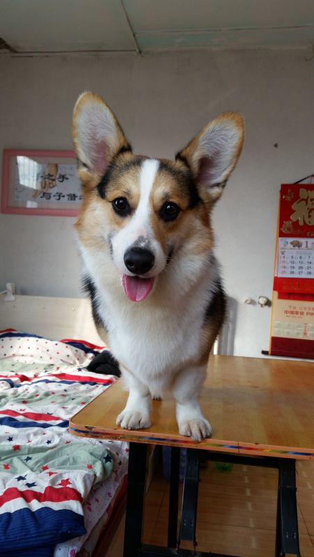 20150114_134745_旋转_副本.jpg