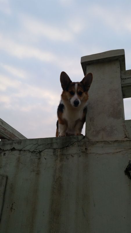 20150114_162658_旋转_副本.jpg