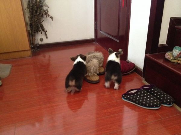 QQ图片20150118145337.jpg