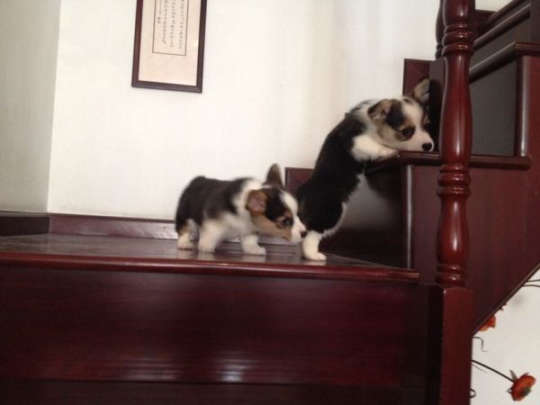 QQ图片20150118145350.jpg