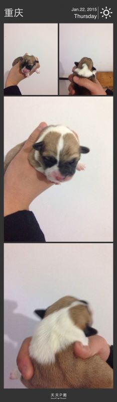QQ图片20150129111749.jpg