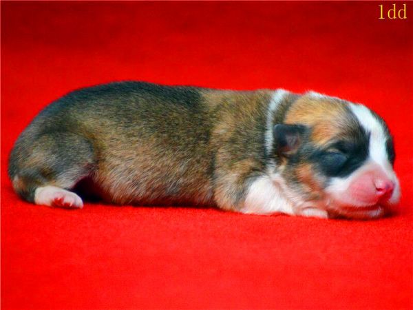 QQ图片20150124203816.jpg