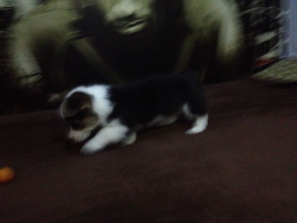 QQ图片20150129215436.jpg