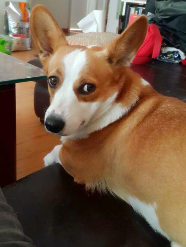 您在给我拍照吗？请美美的