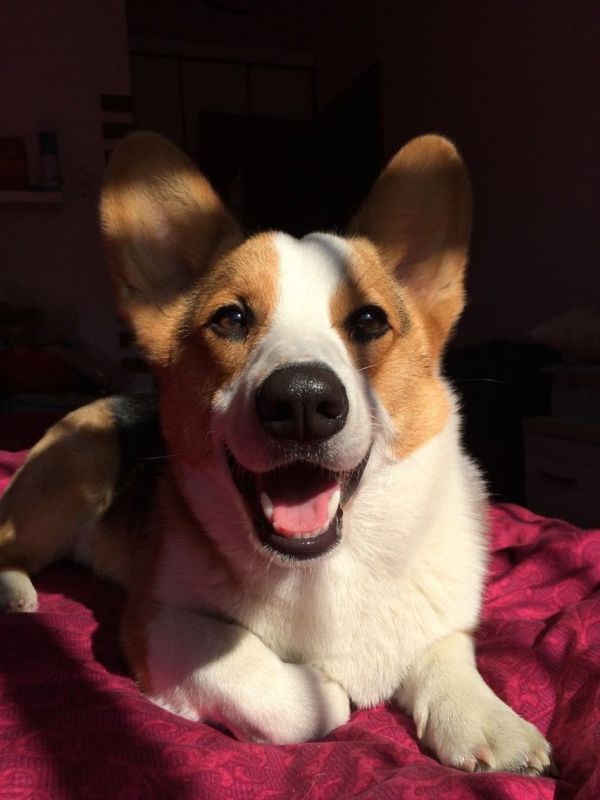 儿子还是很像妈妈的嘛！O(∩_∩)O~