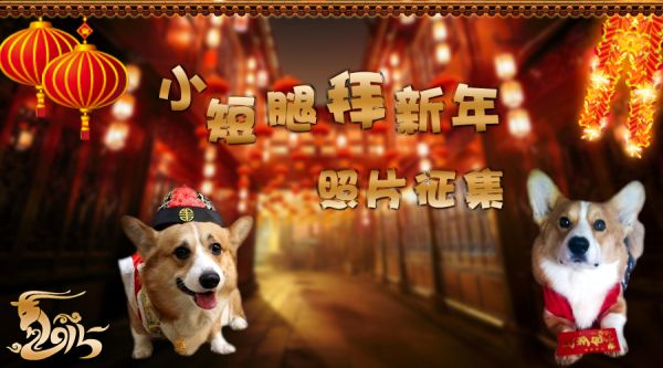新年2015微信.jpg