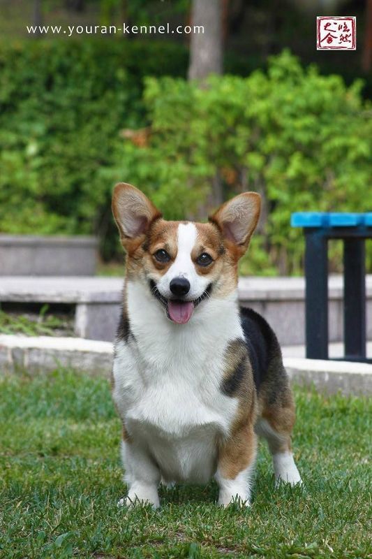 聚美14.7 1 (533x800).jpg