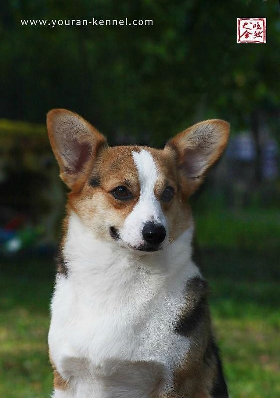 聚美14.7 4 (562x800).jpg