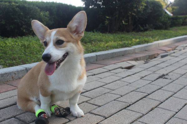 照片 076 (800x533) (800x533).jpg