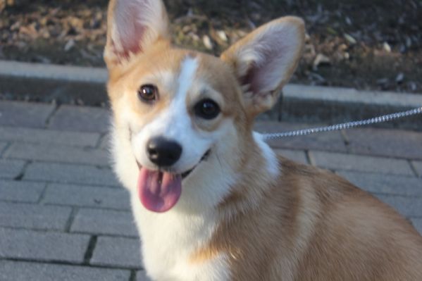 照片 126 (800x533).jpg