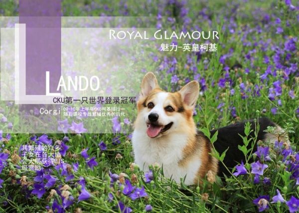 傲一の粑粑——蓝道 世界登陆冠军！ (1).jpg