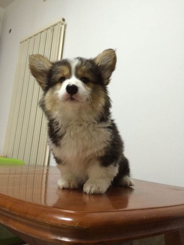 QQ图片20150111203048.jpg