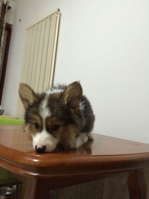 QQ图片20150111203053.jpg