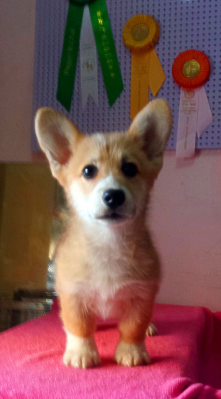 新建文件夹 (3)20150112_152523_mh1421048141457.jpg