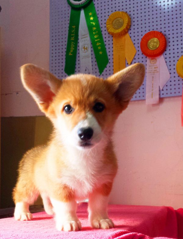 新建文件夹 (3)20150112_150015_mh1421046484775.jpg