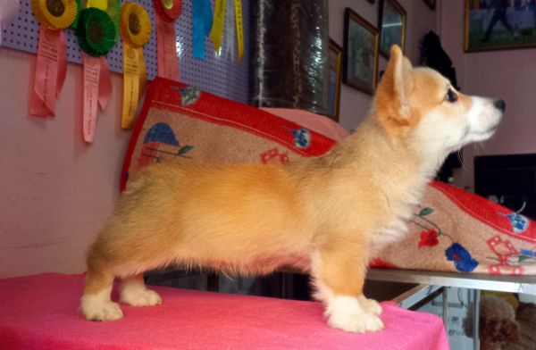 新建文件夹 (3)20150112_152742_mh1421048215969.jpg