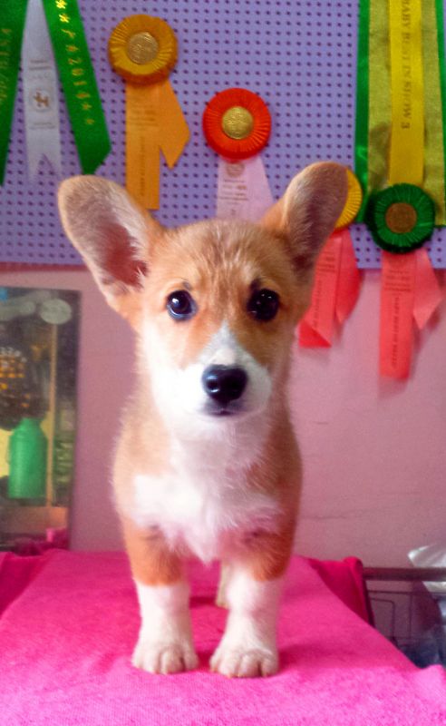 新建文件夹 (3)20150112_155759_mh1421050858809.jpg