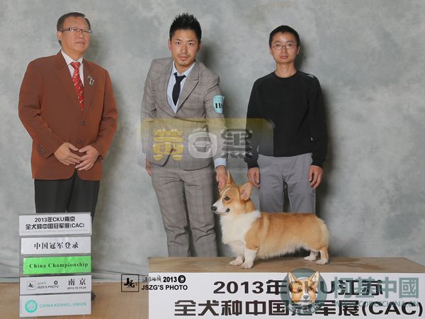 101306kzpx1cmbdmxctc3c.jpg