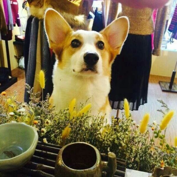 苏州Coco