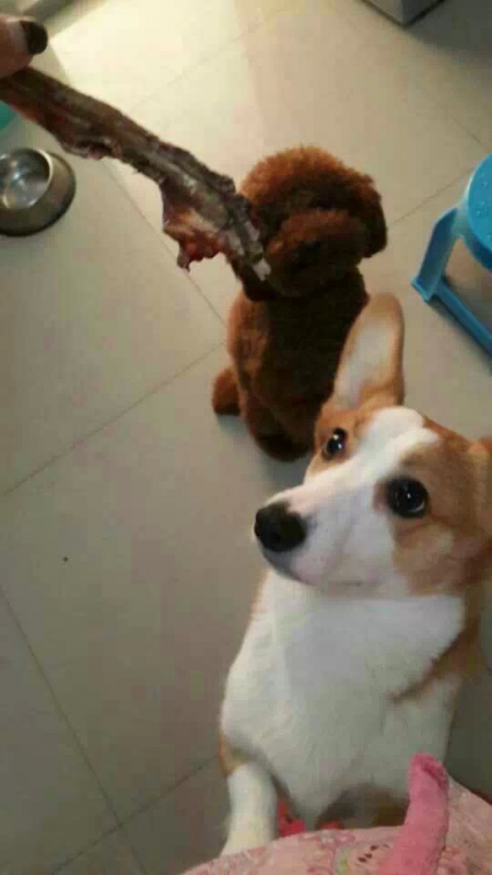 苏州Coco