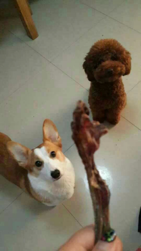苏州Coco