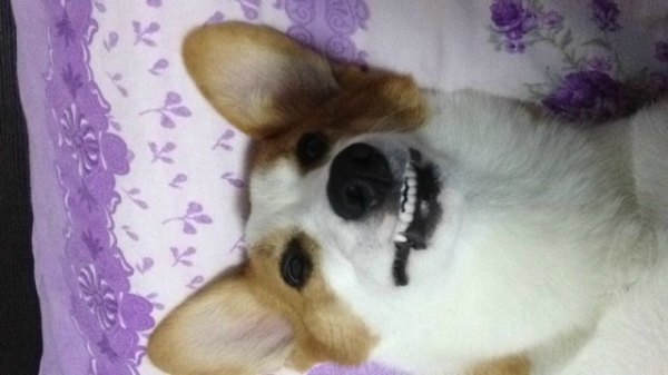 苏州Coco