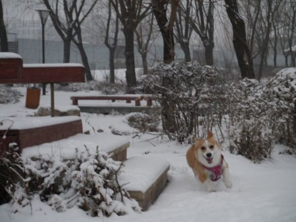 佑佑.jpg