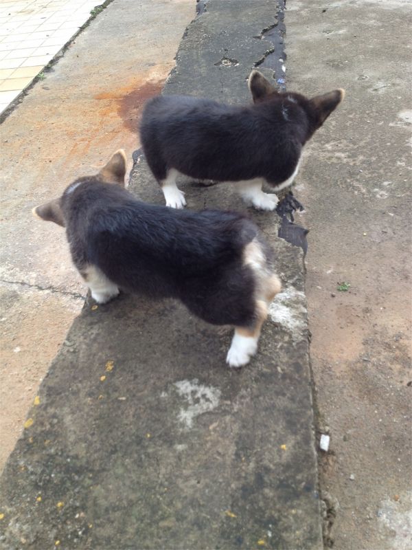 IMG_5558.JPG